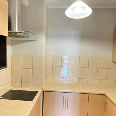 Goscinne R10 * レバ