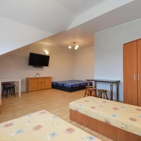 Goscinne R10 * レバ