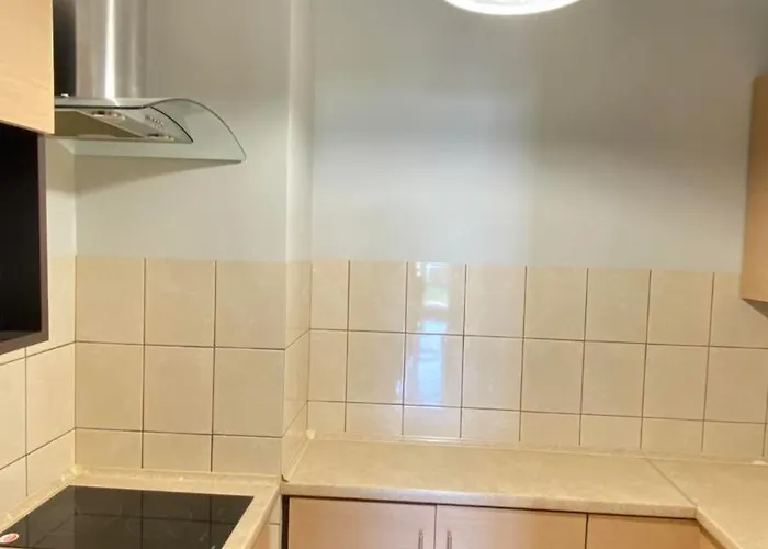 Goscinne R10 * 雷瓦