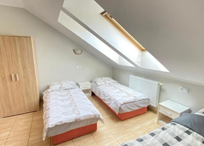 Goscinne R10 * 雷瓦