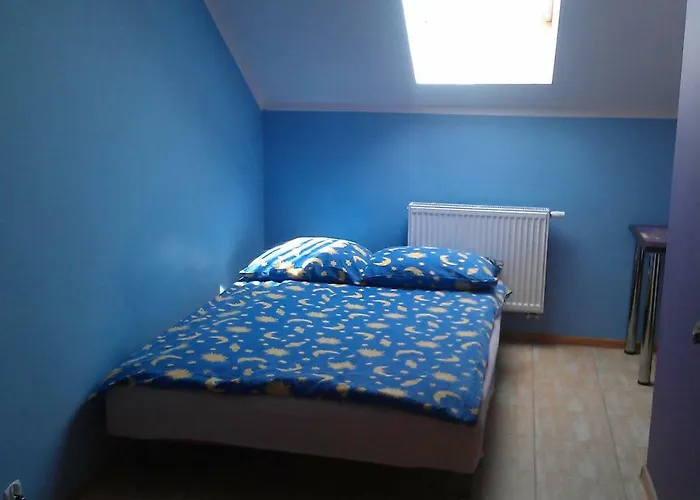 Goscinne R10 * 雷瓦